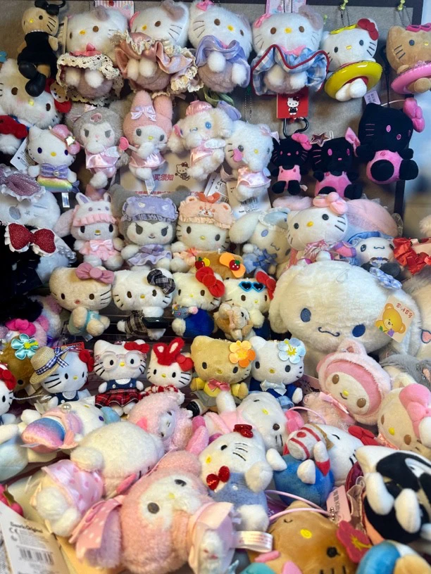 淘跑kitty直播扣号 特价活动专属