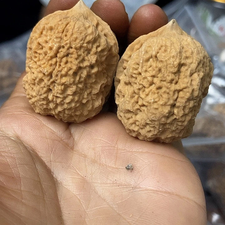 把件文玩核桃云南铁核桃基地44