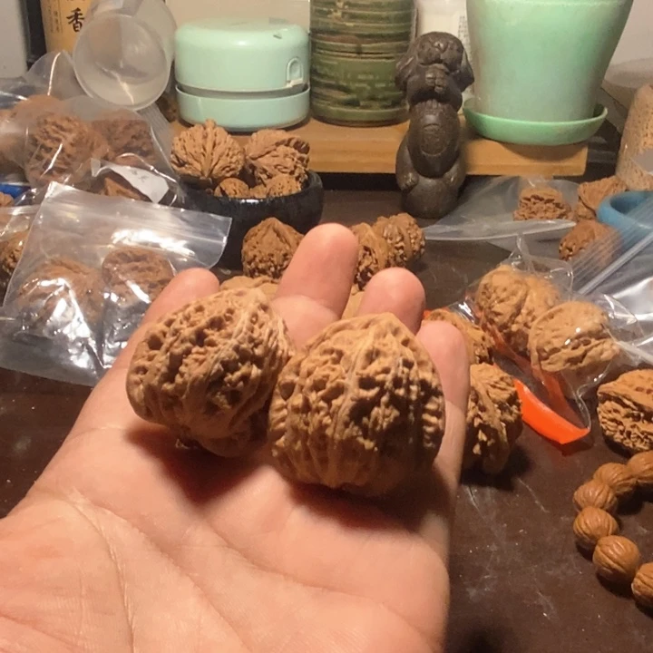 钱****）小众核桃粉红皮质