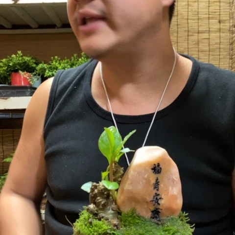 红陶一物一拍所见即所得45