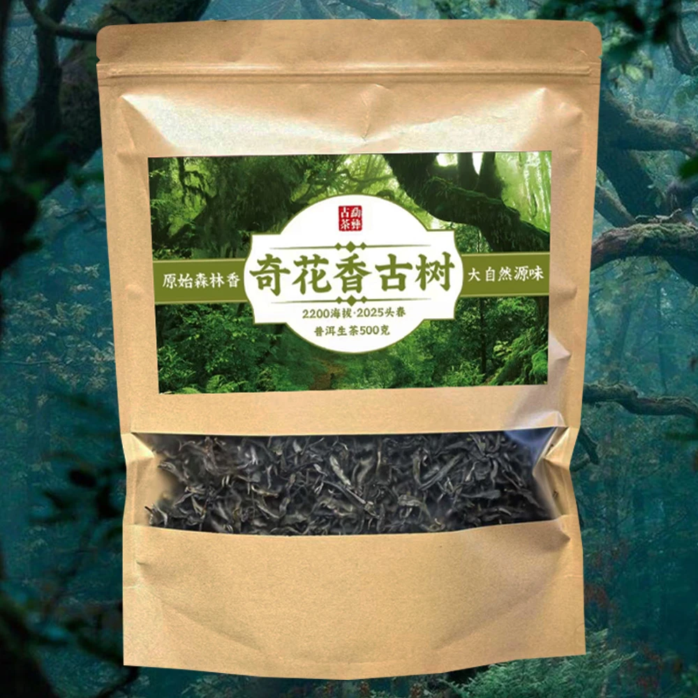 【奇花香】果胶丰富清透润滑 细腻润甜2025 古树混采生茶普洱茶500g