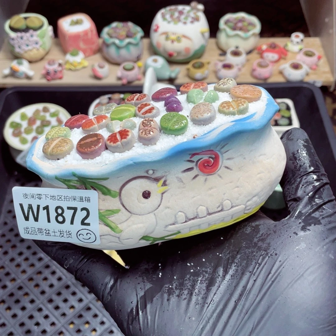 夜间零下地区拍保温箱w1872