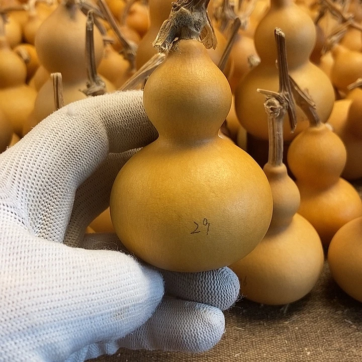 文玩葫芦 完美主义者 慎拍29