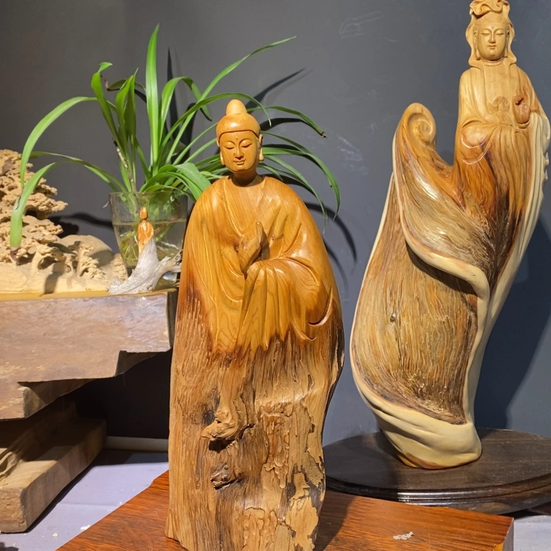 柏木（崖柏）太行21855889966