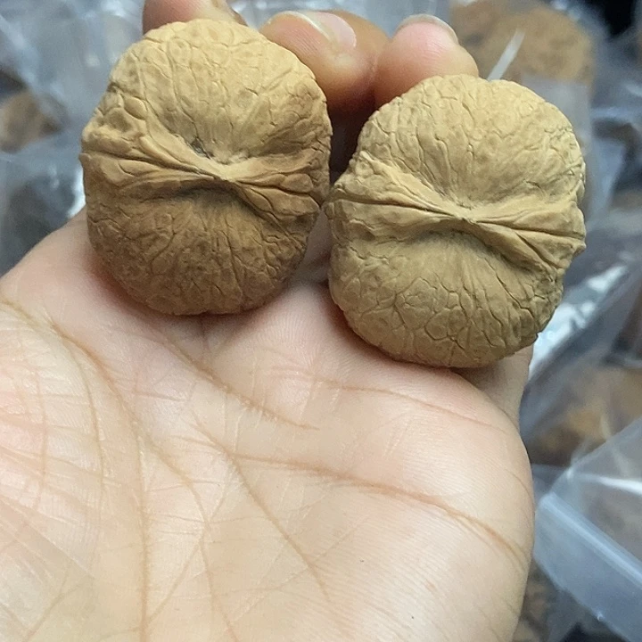 木质类云南铁核桃+5