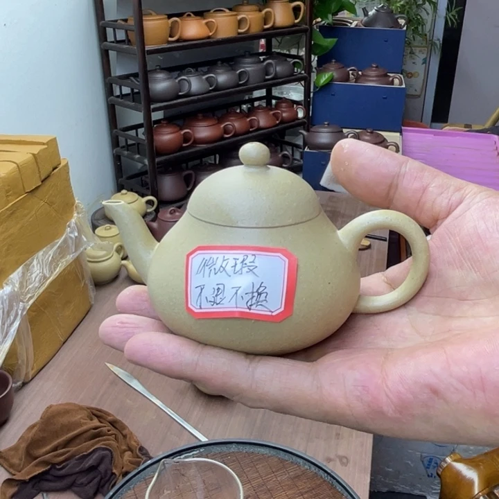 王***拿茶壶紫砂微瑕小高梨本山梨皮绿泥