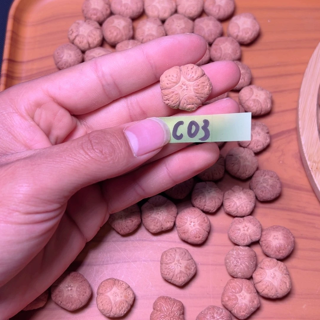 龙脊菩提吊坠阳**锈中国凤眼菩提 五星