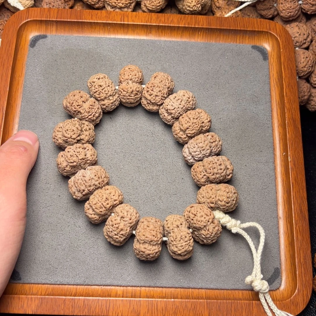 菩提3号尼泊尔大金刚24五星梅花蜂王夹板