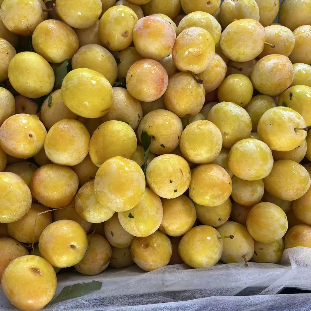 东北特产晚黄李顺丰包邮