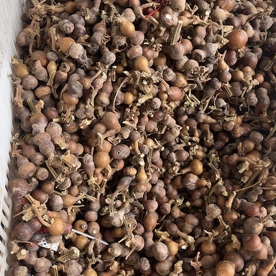 花皮草里金70到80个左右一箱35米