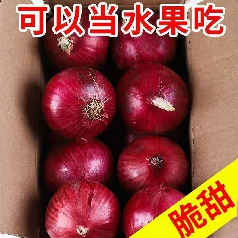 云南高山新鲜现挖水果扁洋葱微辣微甜可以生吃洋葱农家自种3-9斤