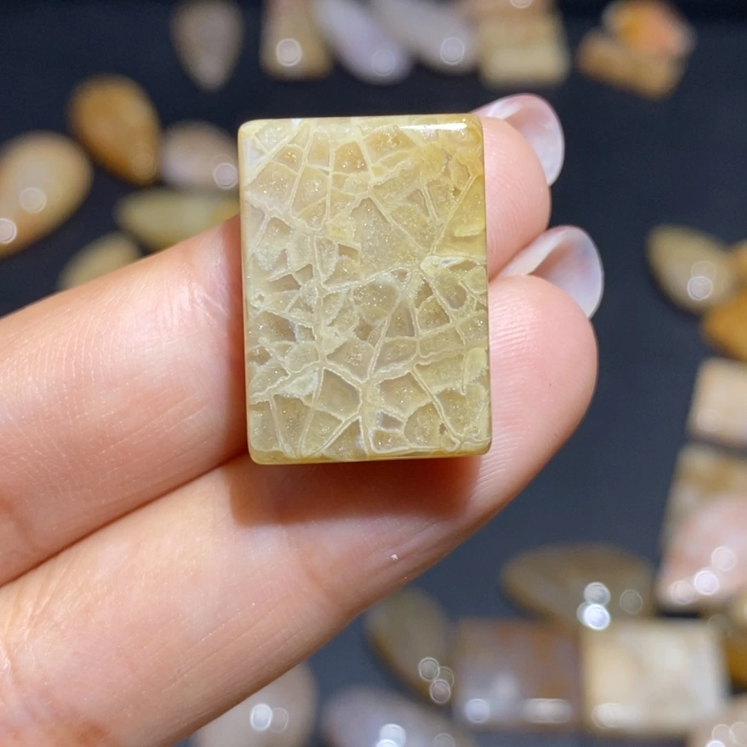 【闪购商品】硅化玉珊瑚玉未镶嵌