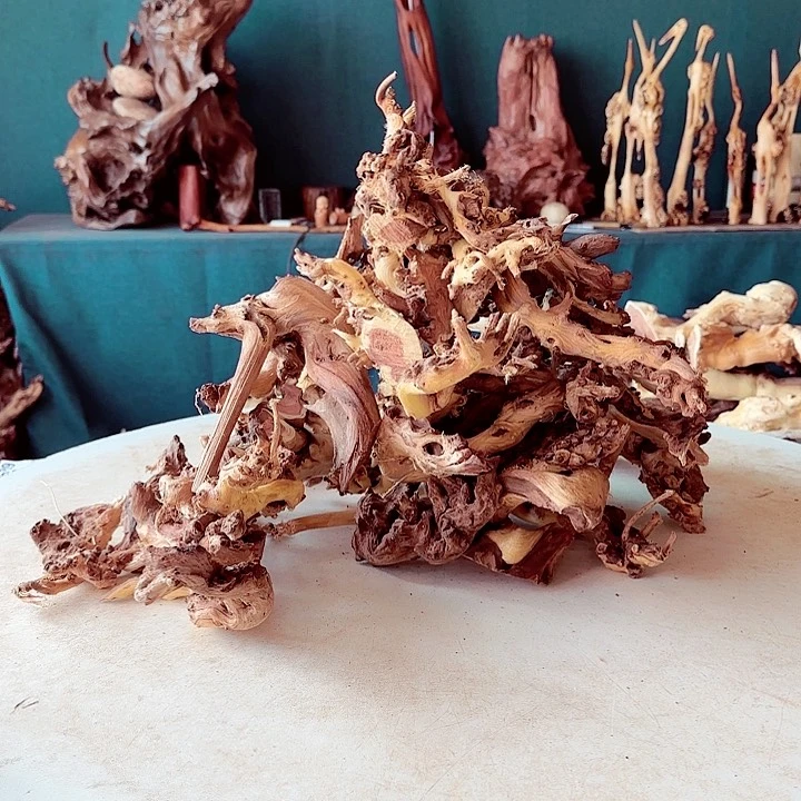 黑果木鸟*306金丝红木羊蹄甲原材料不能退到手30件