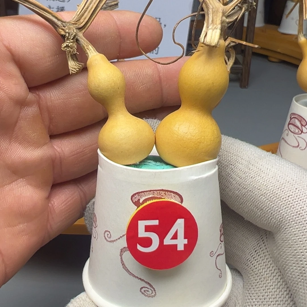 闪电购自助下单编号54