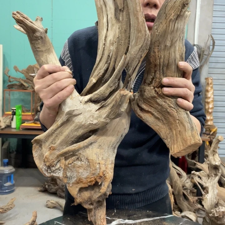 無***為香榧木我们都是好朋友啊