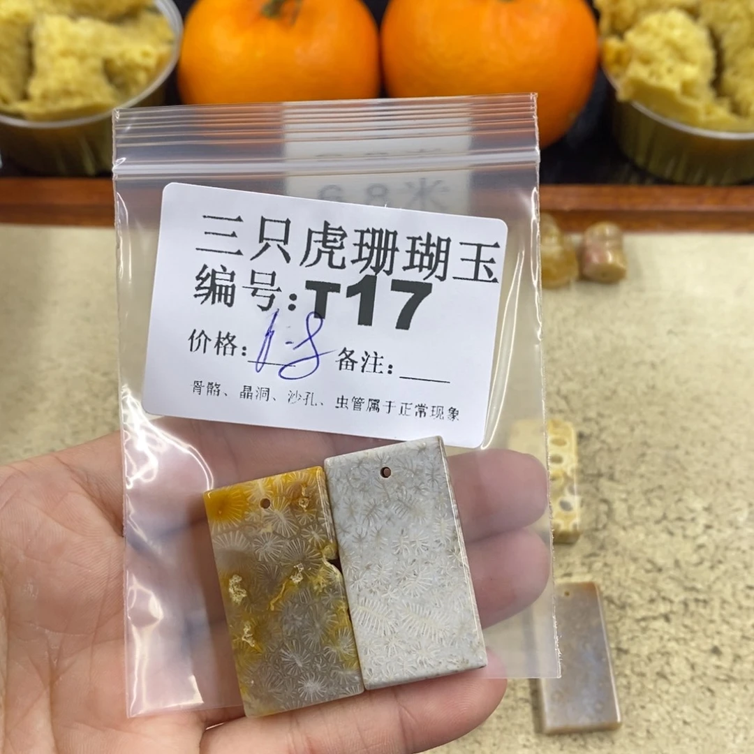 硅化珊瑚（珊瑚玉）1未镶嵌冬*