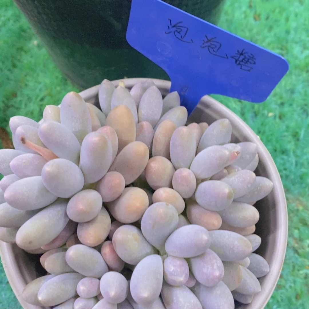 清货转场，一单包邮，满5宋1