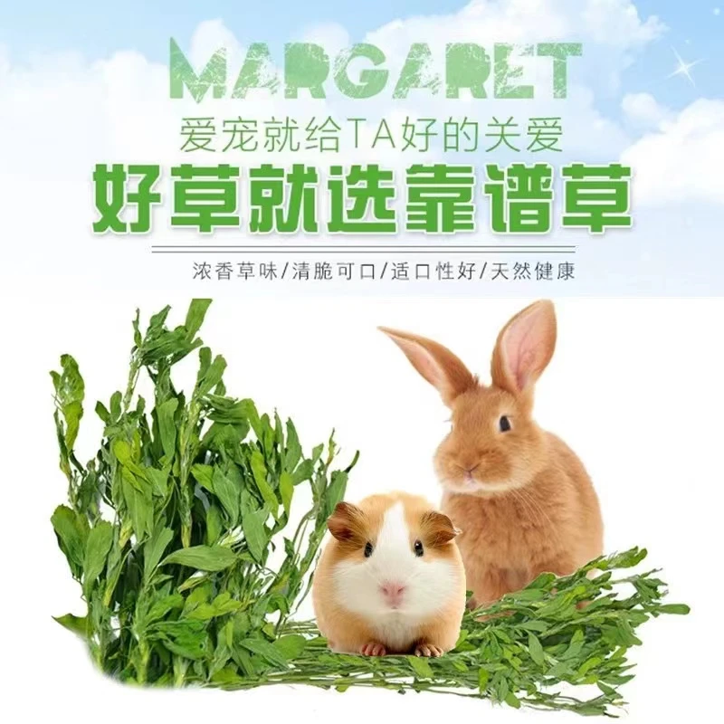 2025烘干紫花苜蓿草干草兔子猪龙猫主食牧草清火消暑补充营养