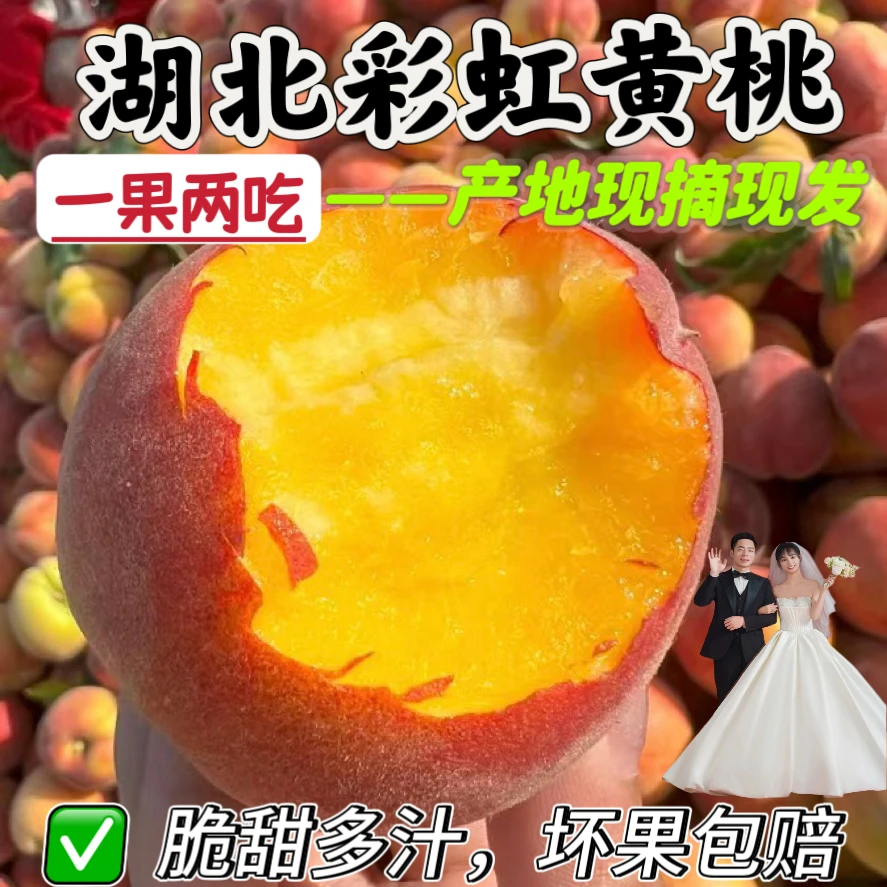 【应季头茬桃】枣阳黄金蜜桃彩虹胭脂黄桃头茬原产地直发新鲜采摘
