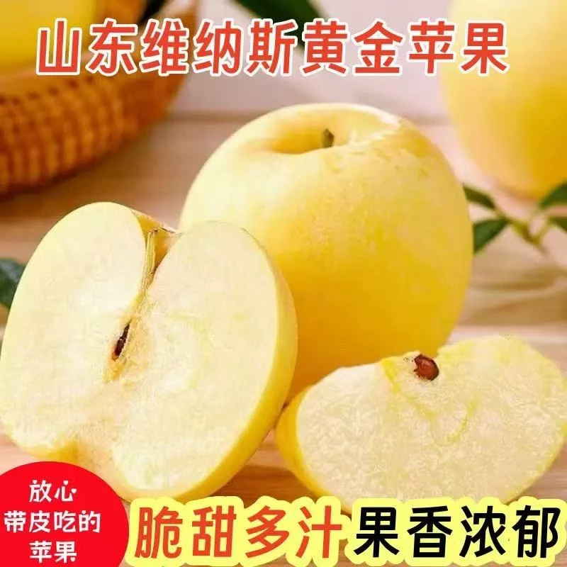 【直播间专属】山东维纳斯苹果精品新鲜现摘脆甜多汁应季水果4.5斤