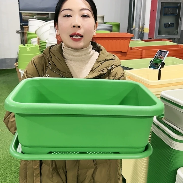 宽体小菜盆长38宽28高15混色3只带托