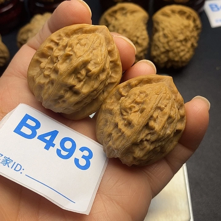 核桃大红袍3.5，高4.0，