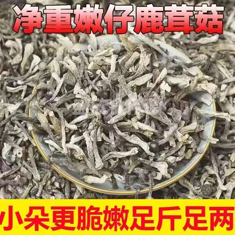 【净重批发】嫩仔鹿茸菇干货新鲜无硫鹿茸菌散装酒店批发