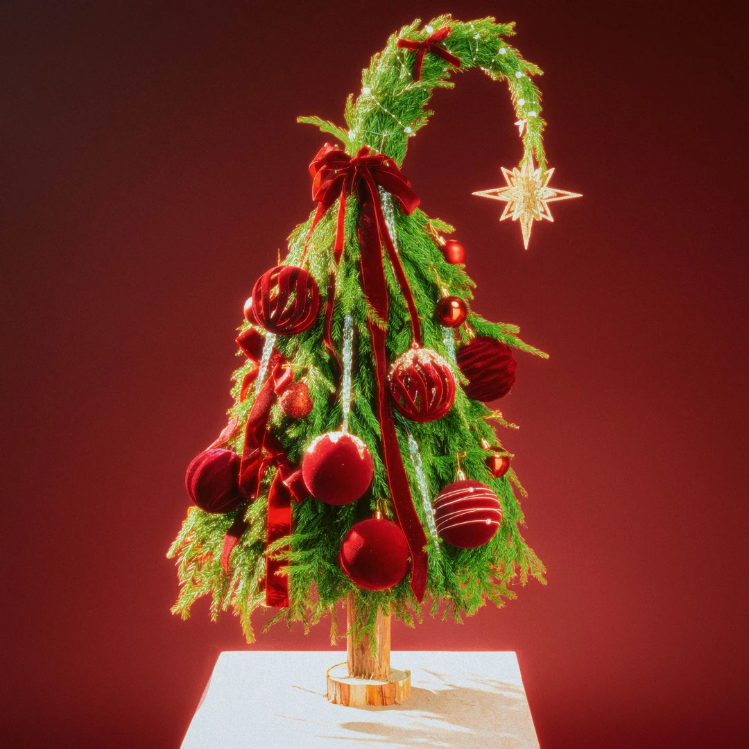 【珠光｜星愿树】【全手工系列】昆明直发新鲜圣诞树圣诞可做干花