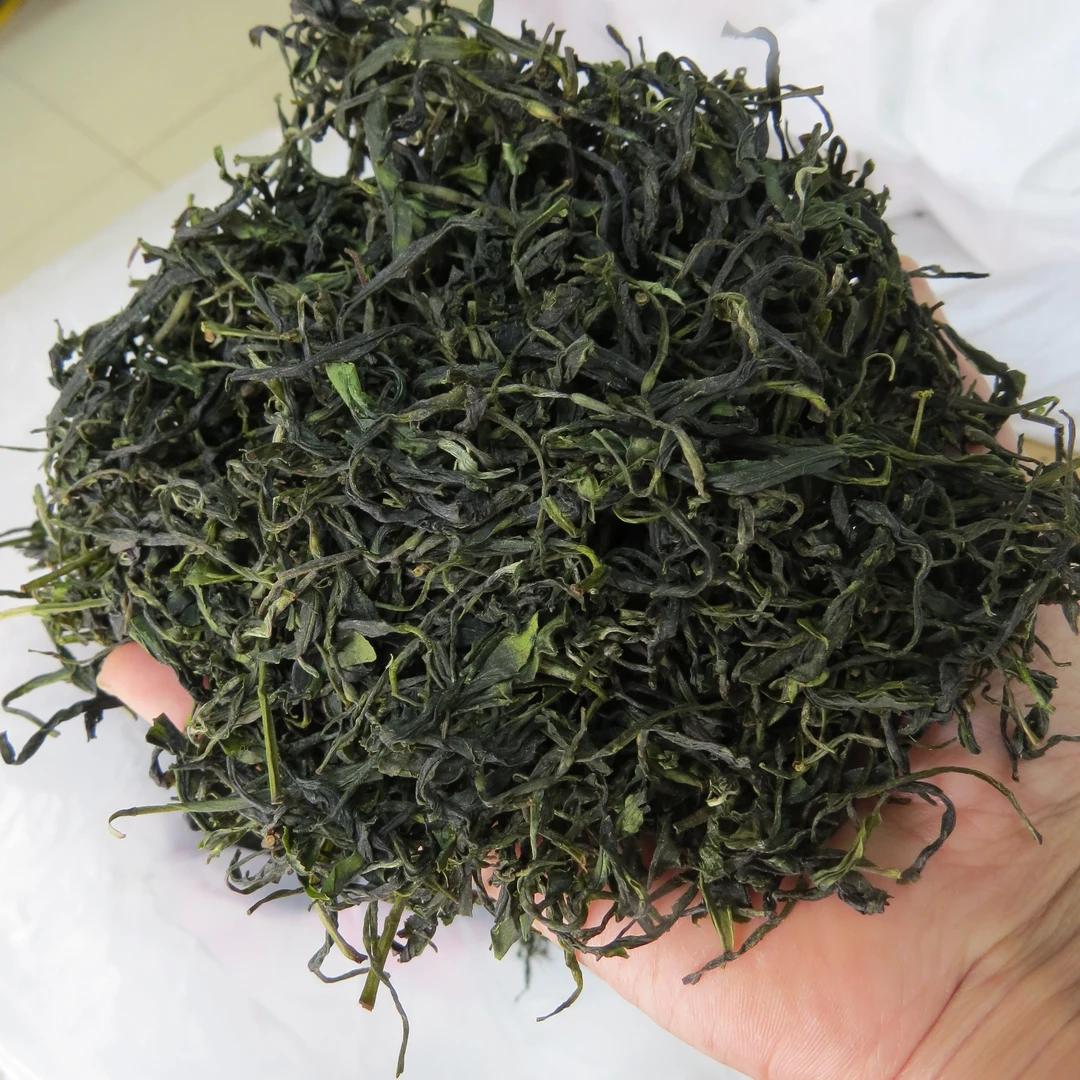 新茶2025一斤施集烘青绿茶浓香耐泡板栗香