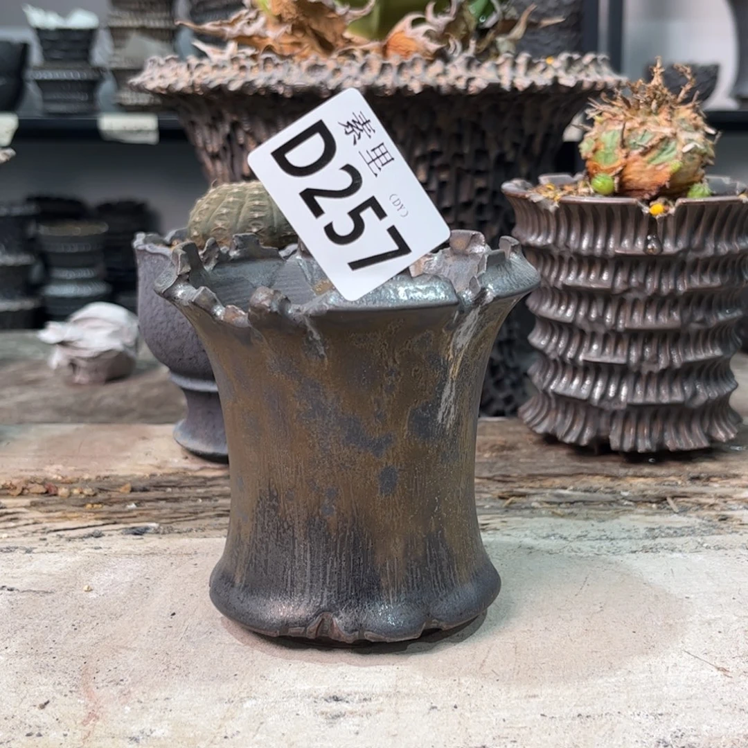 陶内口8.3高9.3景德镇