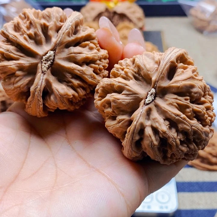 用***5文玩核桃把件粗筋