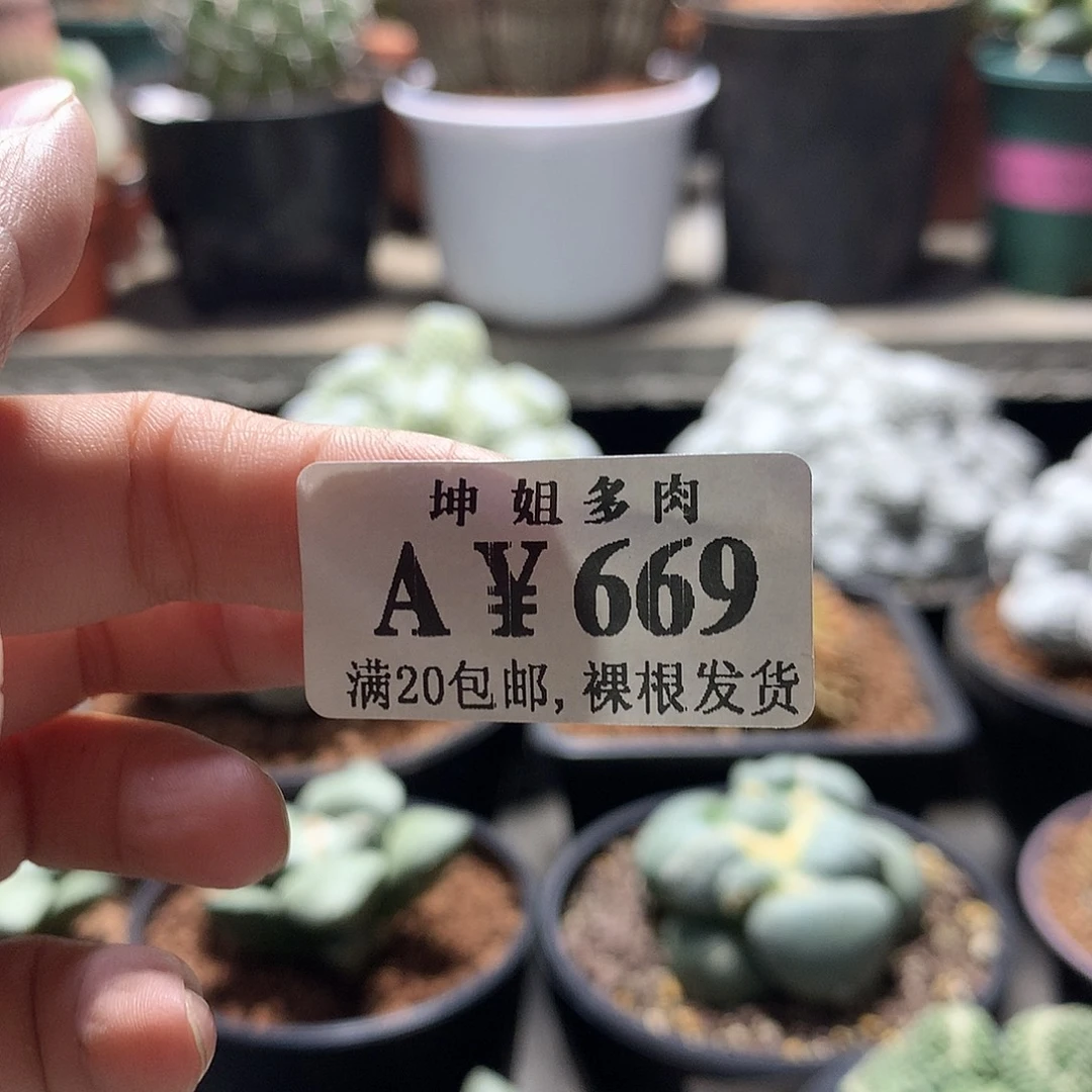 分***乐669 。兜 。