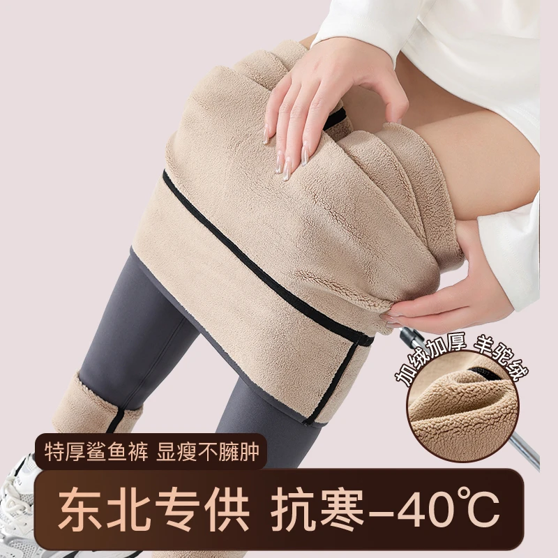 175高个子加绒鲨鱼裤东北零下40度羊羔绒女外穿高腰加厚加长冬季