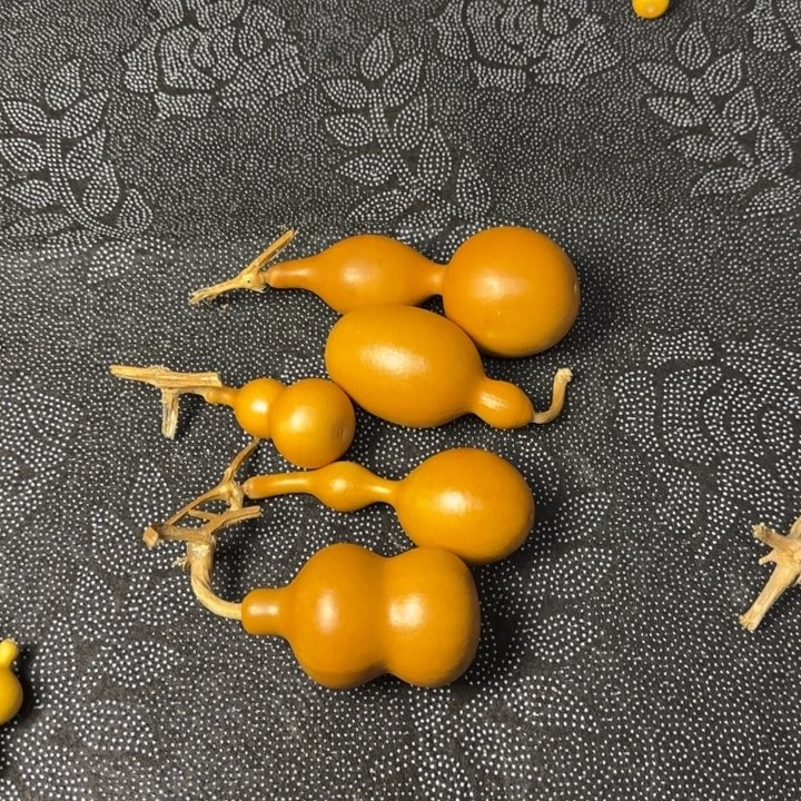 如***翊葫芦哈哈哈哈哈哈哈46