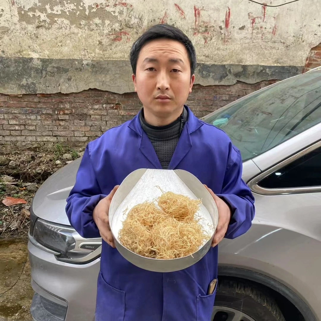 竹茹 四川正宗竹茹大山采摘农家货