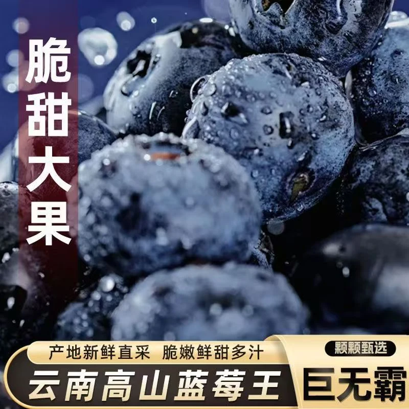 【京东空运】正宗云南当季花香蓝莓果园优选新鲜直发花香蓝莓