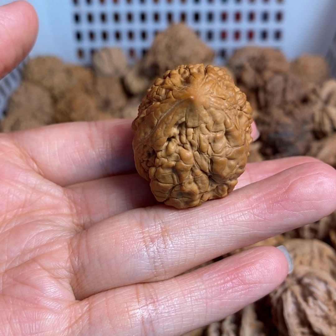 文玩核桃把件随**—