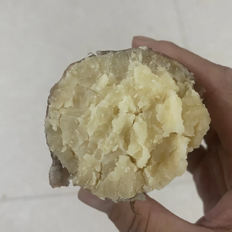 新鲜现挖平谷本地正宗板栗红薯。白哈密沙面甜