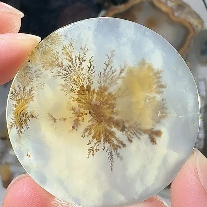 玛瑙/玉髓未镶嵌珠宝半成品