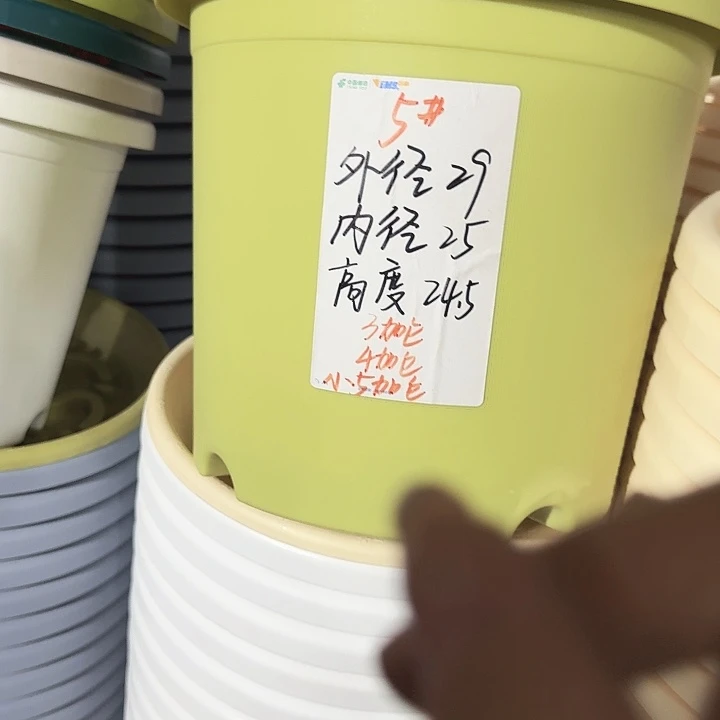 四季5号果绿带托10套特价微瑕