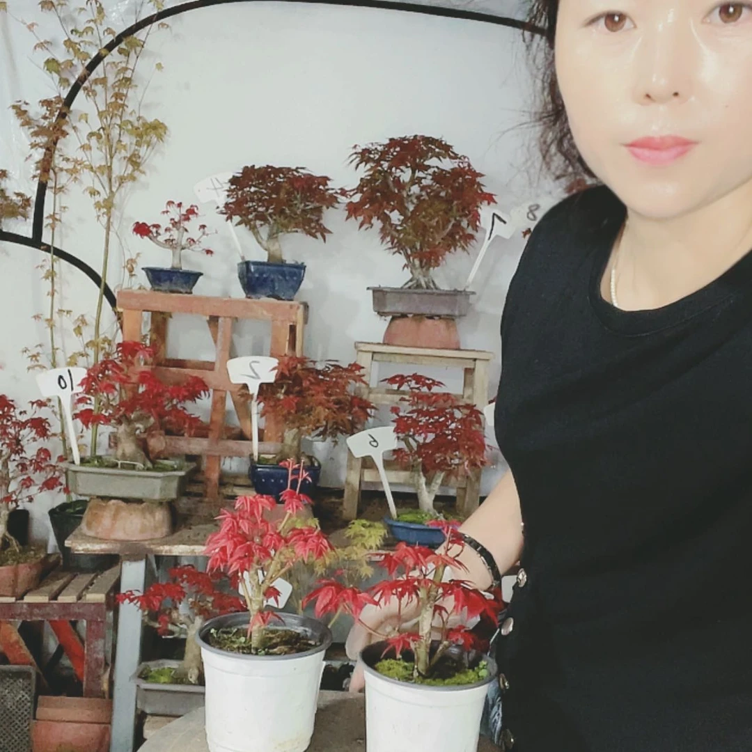 【闪购商品】完全开放用****2