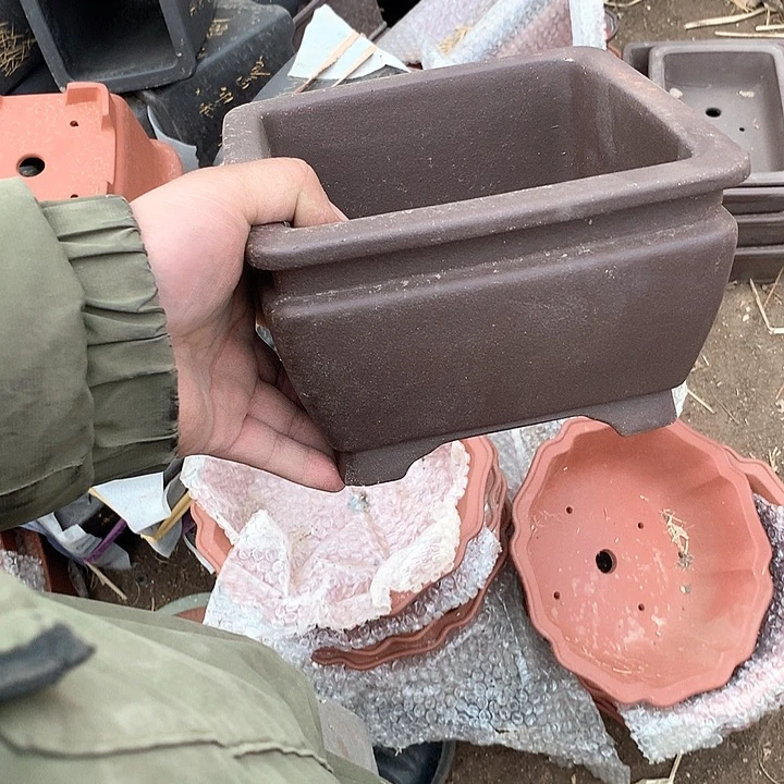 紫砂优秀青年科技人才创新