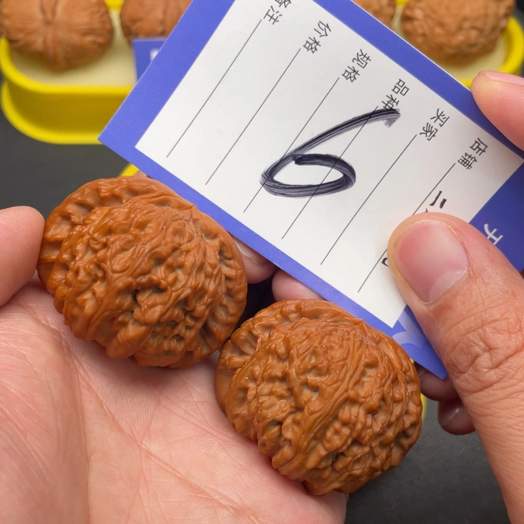 文玩核桃把件白狮子44