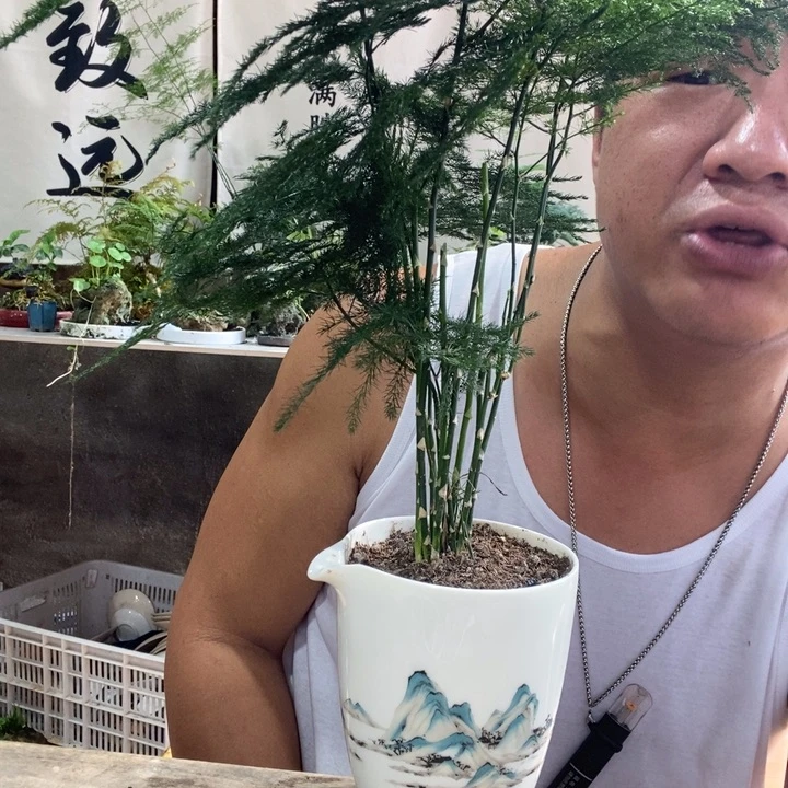 无花朵退款拉黑拉黑59