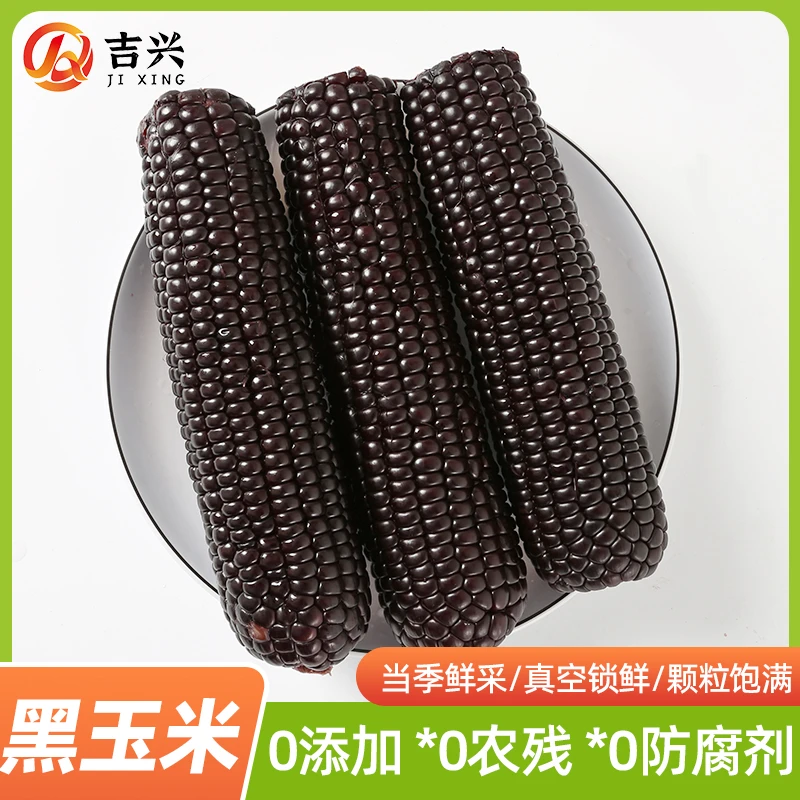 【试吃4支】精选东北黑糯玉米营养花青素拍10送4到手14支7斤-8斤