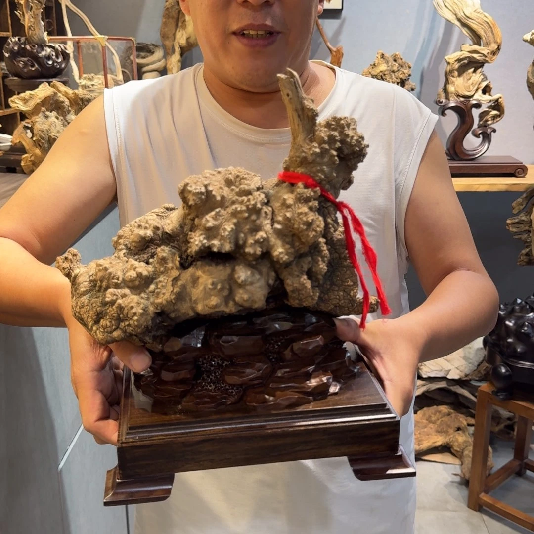 柏***独柏木（崖柏）这就是为什么不在这里上班呀这一