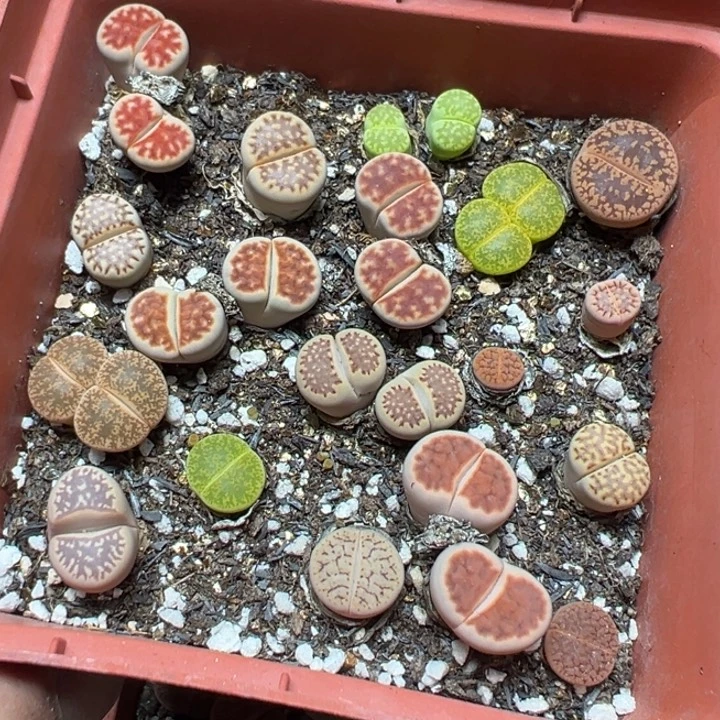 【闪购商品】 945。