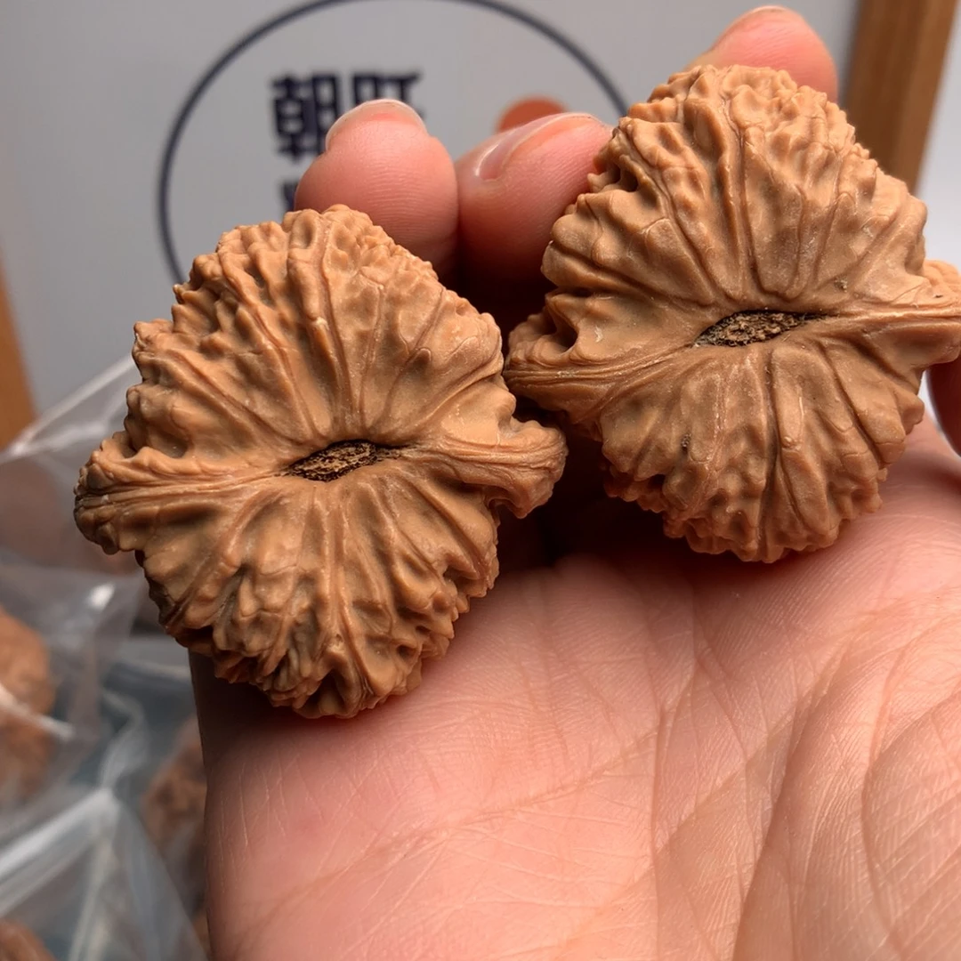 玖***九南疆12多人参加过抗战