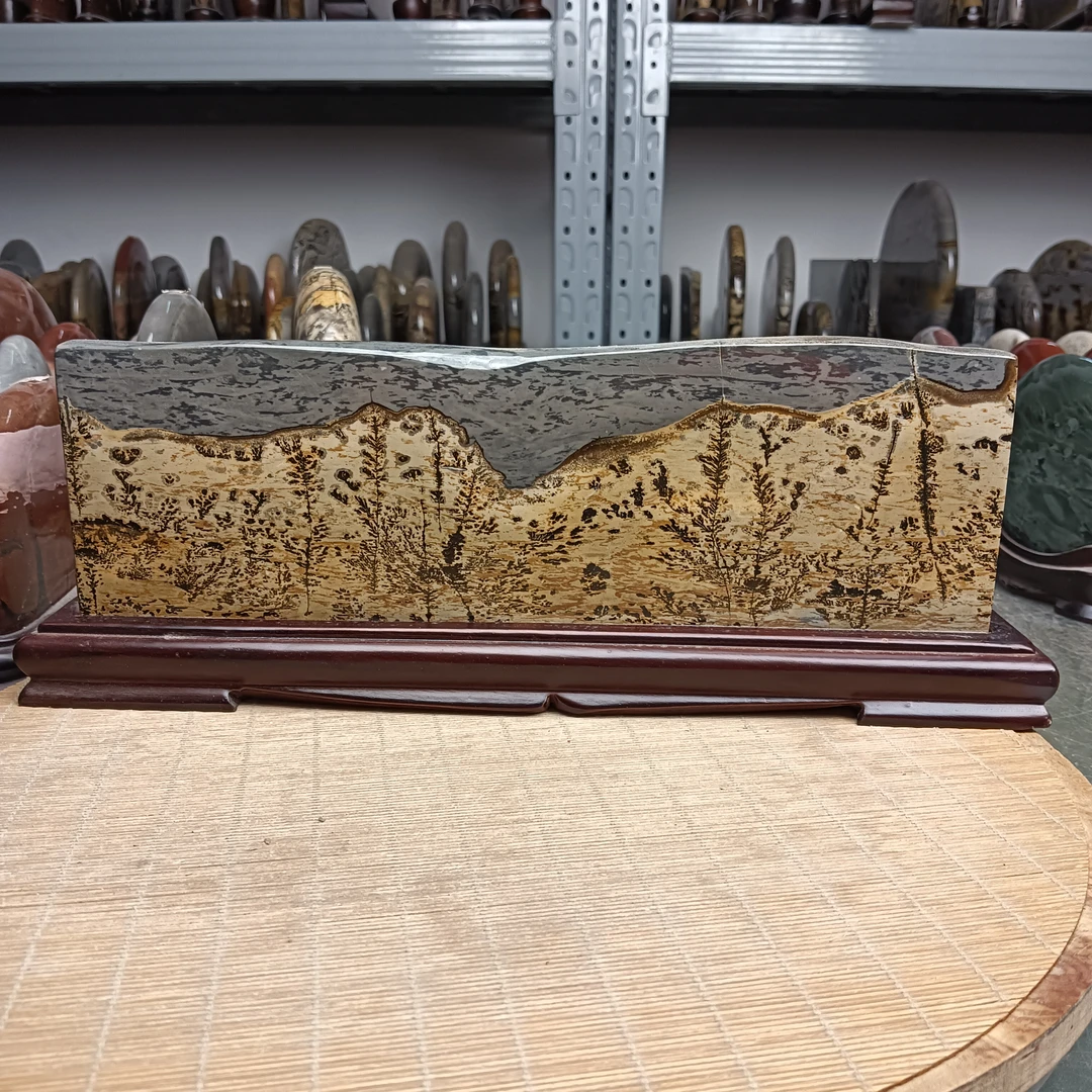 广西天然国画石四亿年形成纹理清晰居家摆件