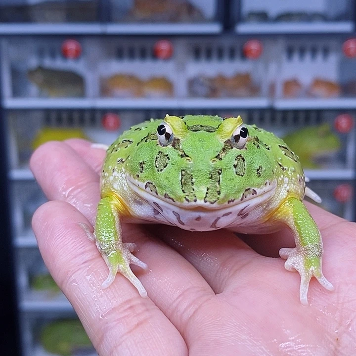 特价促销特价活动